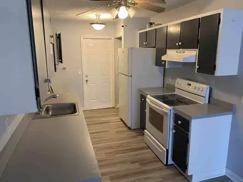 437 E Rosewood Ln, Tavares, FL 32778