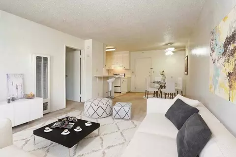 3777 Mowry Ave, Fremont, CA 94538