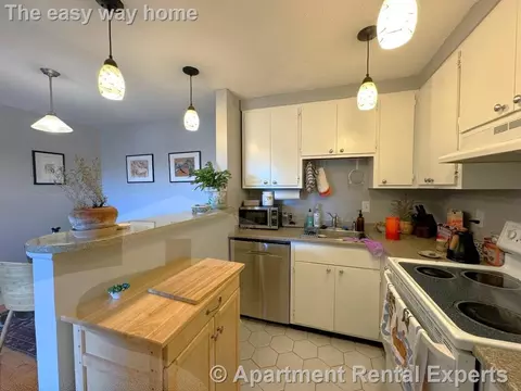 47 Mystic St #5A, Arlington, MA 02474