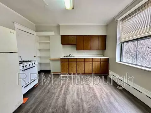217 Luray St, Pittsburgh, PA 15214