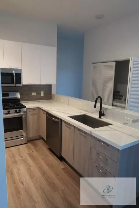 2550 S Wabash Ave #506, Chicago, IL 60616
