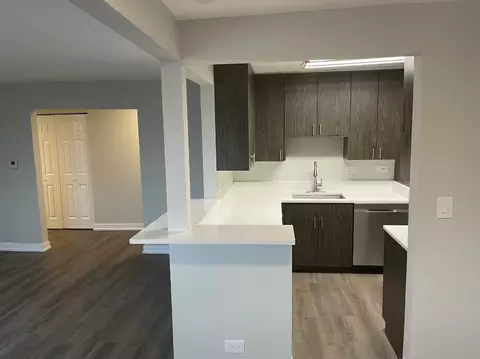 1146 W Morse Ave #2A, Chicago, IL 60626