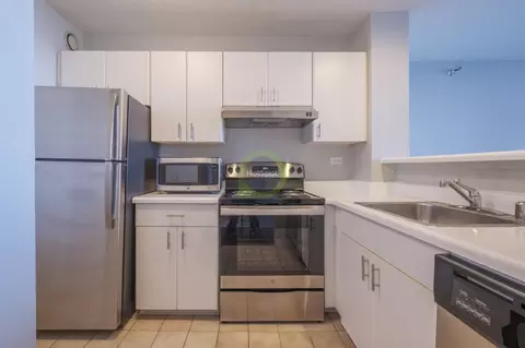 445 E Ohio St, Chicago, IL 60611