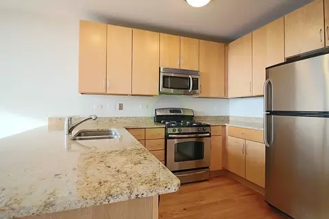 8 E 9th St #1-2DEN, Chicago, IL 60605