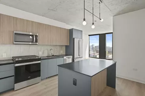 234 W Polk St #2-2, Chicago, IL 60607