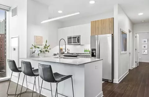 313 W Wolf Point Plz #2-2-5, Chicago, IL 60654