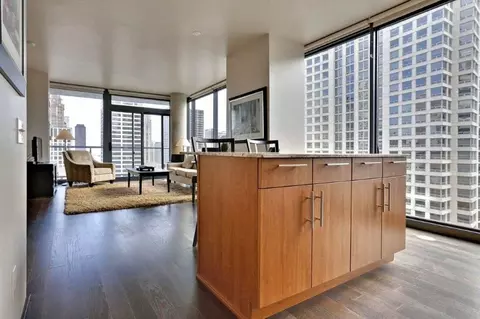 505 N State St #3-2-5, Chicago, IL 60654