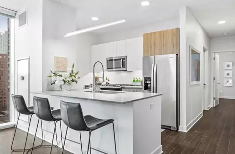 313 W Wolf Point Plz #3-3, Chicago, IL 60654