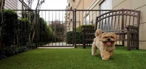 5328 Alpha Rd #3422, Dallas, TX 75240