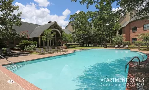 9723 Cypresswood Dr #2236, Houston, TX 77070