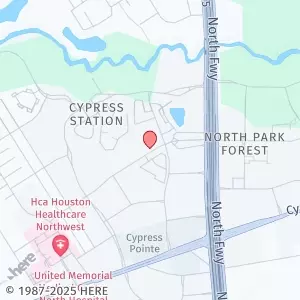 106 Hollow Tree Ln #2348, Houston, TX 77090