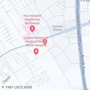 17223 Hafer Rd #3487, Houston, TX 77090