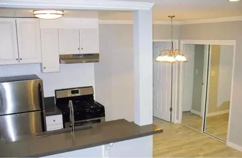 1810 N Cherokee Ave #213, Los Angeles, CA 90028