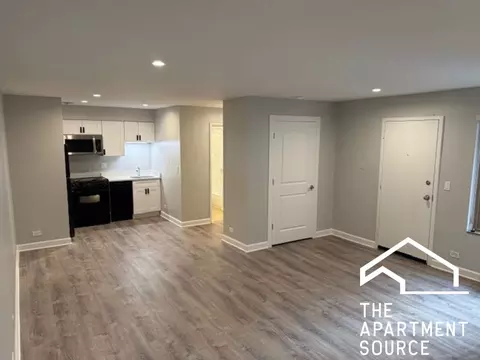 744 W Gordon Ter #208, Chicago, IL 60613