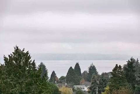 6041 California Ave SW #205, Seattle, WA 98136