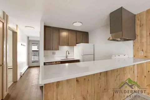 7213 Ryan Gulch Rd, Silverthorne, CO 80498