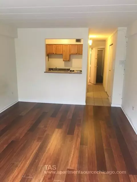 6821 N Sheridan Rd #205, Chicago, IL 60626