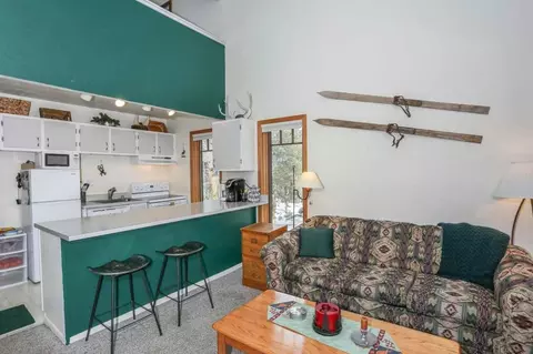 800 Columbine Rd #10, Breckenridge, CO 80424