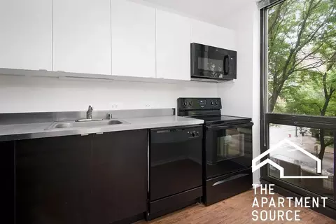 1000 N La Salle Dr #207, Chicago, IL 60610