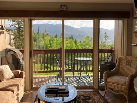 21 Buffalo Dr, Silverthorne, CO 80498