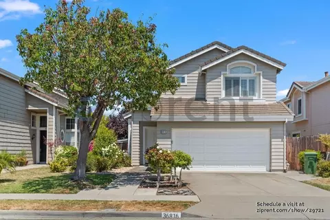 36816 Papaya St, Newark, CA 94560