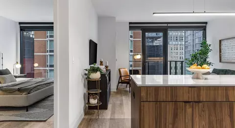 218 E Grand Ave #1-1DEN, Chicago, IL 60611