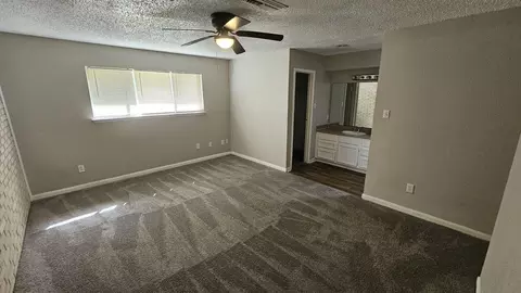 23915 Spring Fork Dr, Spring, TX 77373 photo 19