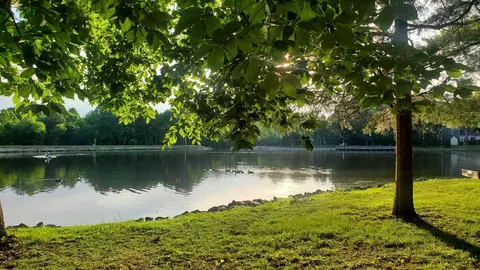 12423 New Point Dr, Henrico, VA 23233