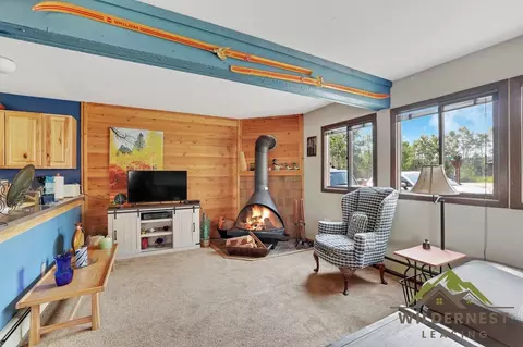 102 Salt Lick Cir, Silverthorne, CO 80498