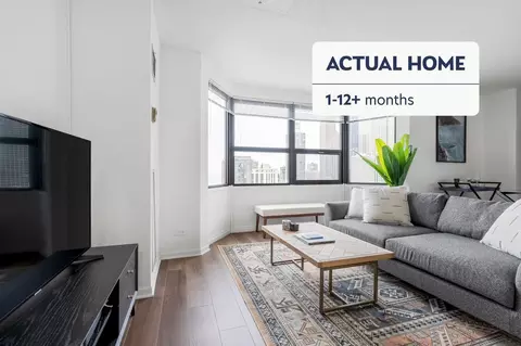 1133 N Dearborn St #207, Chicago, IL 60610