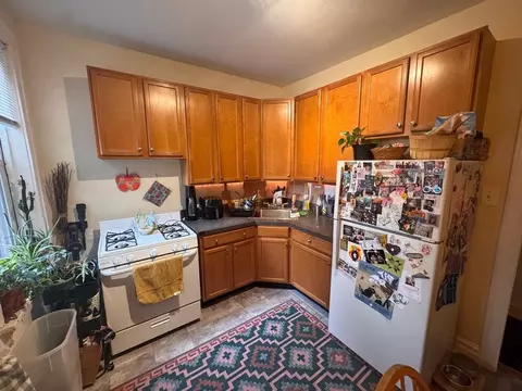 1503 W Schreiber Ave #2, Chicago, IL 60626
