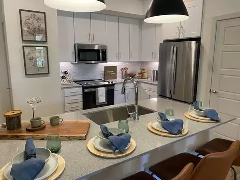 301 Sierra Mar Loop #11308, Leander, TX 78641