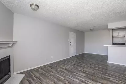3801 Gannon Ln, Dallas, TX 75237 photo 39