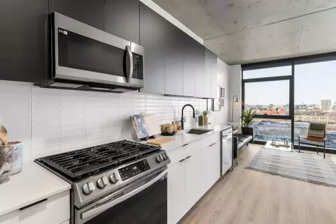 225 N Elizabeth St, Chicago, IL 60607