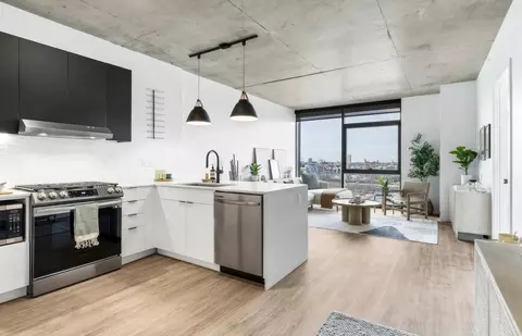 225 N Elizabeth St #1-1, Chicago, IL 60607