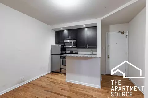 1504 N Dearborn Pkwy #202, Chicago, IL 60610