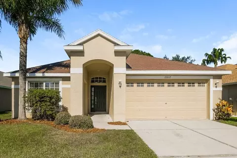 23217 Bayou Grove St, Land O' Lakes, FL 34639