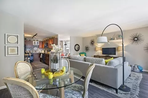 860 N Dewitt Pl #3-2, Chicago, IL 60611