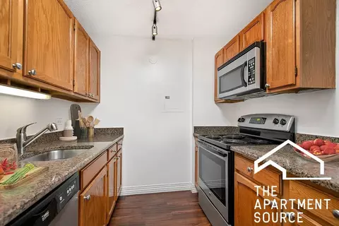 100 W Chestnut St #2505, Chicago, IL 60610