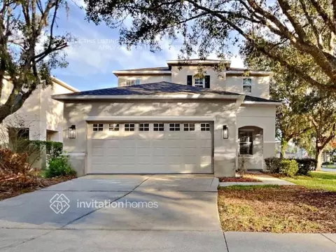 18843 Litzau Ln, Tampa-st. Petersburg, FL 34638