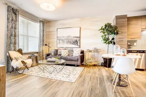 1305 Central Ave, Charlotte, NC 28205 photo 5