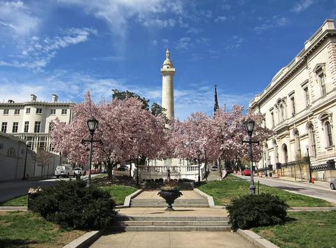 606 Cathedral St, Baltimore, MD 21201 photo 19