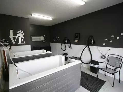 4125 Hayden Lofts Pl, Dublin, OH 43016 photo 12