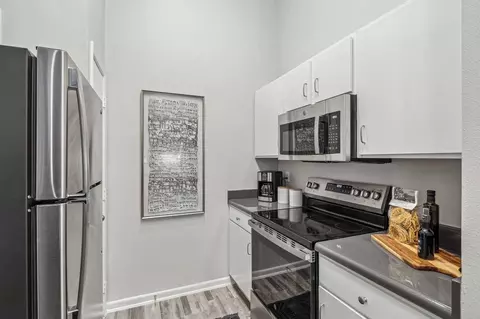 1045 15th Pl, Plano, TX 75074 photo 9