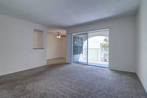 21227 Us Highway 19 N, Clearwater, FL 33765 photo 5