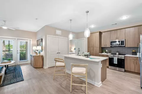 4434 Cobalt Brook Blvd, Lutz, FL 33559 photo 7