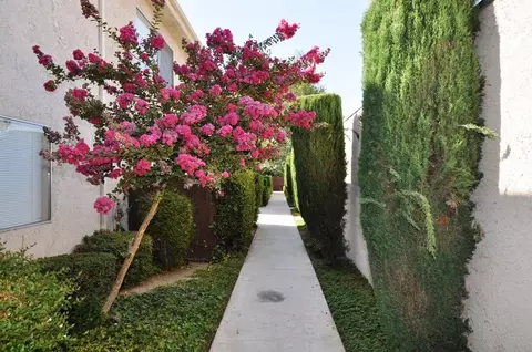 25052 Walnut St, Newhall, CA 91321