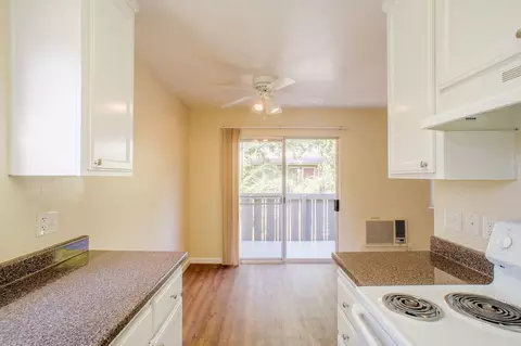5055 Dent Ave, San Jose, CA 95118 photo 56