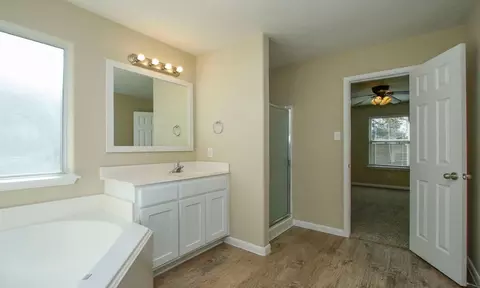 29014 Red River Loop, Spring, TX 77386 photo 27