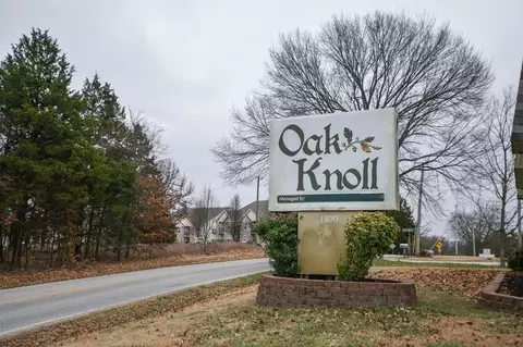 1105 Bird Rd #1, Branson, MO 65616